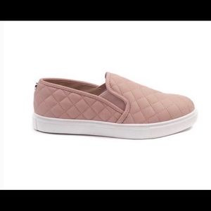 Steve Madden Ecentrcq Slip on Sneaker